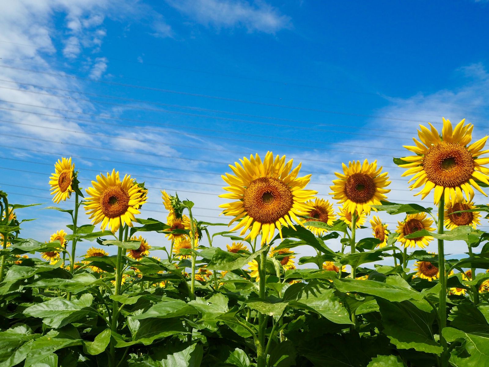 那珂総合公園 Retrip リトリップ