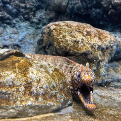 21最新 東海地方の人気動物園 水族館ランキングtop30 Retrip リトリップ