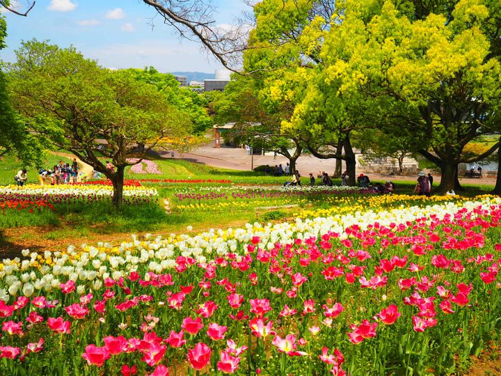 終了 自分へのご褒美は絶景やグルメ 関西地方で今週したいことlist Retrip リトリップ