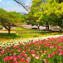 初夏のおでかけに 関西地方の 5月 7月が見頃 な花畑スポットまとめ Retrip リトリップ