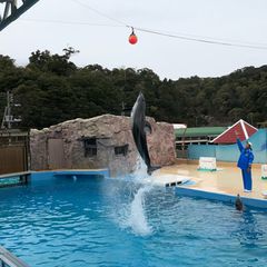 最新 下田 南伊豆の人気水族館ランキングtop1 Retrip リトリップ