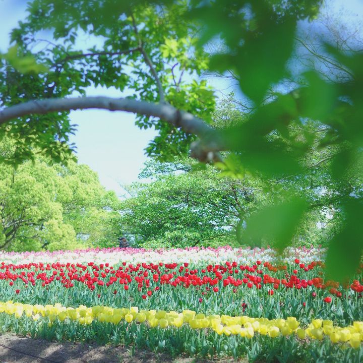 終了 自分へのご褒美は絶景やグルメ 関西地方で今週したいことlist Retrip リトリップ