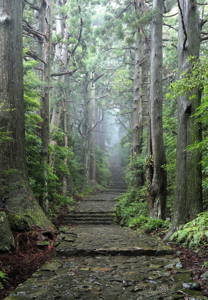 あなたの知らない絶景の宝庫 和歌山県の絶対行きたい壮大な観光スポット12選 Retrip リトリップ