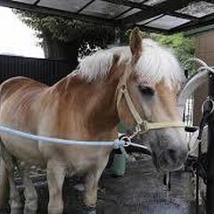 今年お世話になるチルスポットはもう見つけた 都内のチルスポット7選 Retrip リトリップ