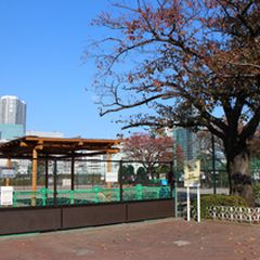 写真一覧 芝浦中央公園 ドッグラン Retrip リトリップ