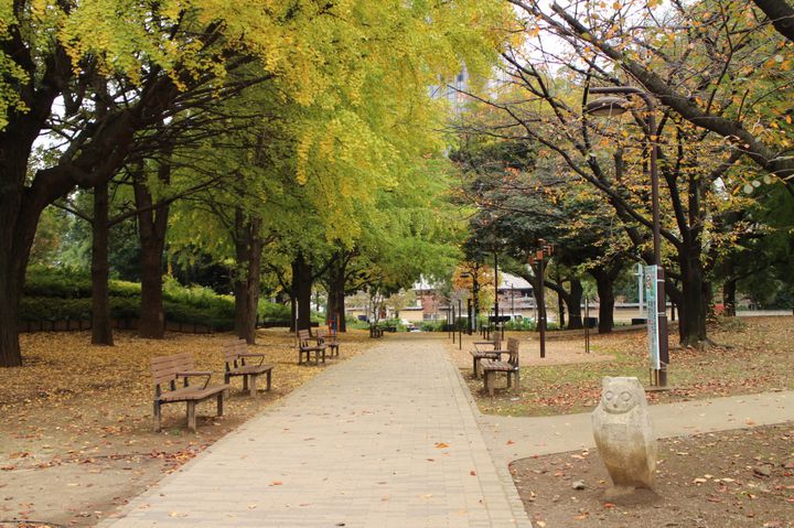 秋はおしゃれにピクニック 東京近郊の おしゃピクスポット 10選 Retrip リトリップ