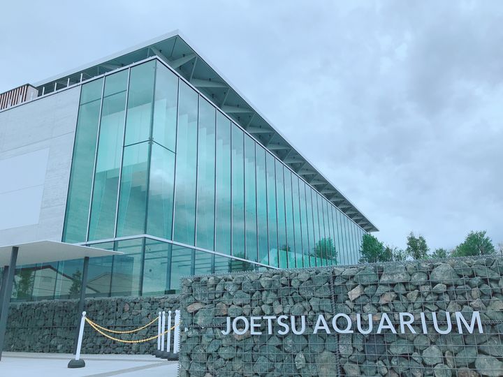 世界に誇る！上越市立水族博物館「うみがたり」でしたい5つのこと