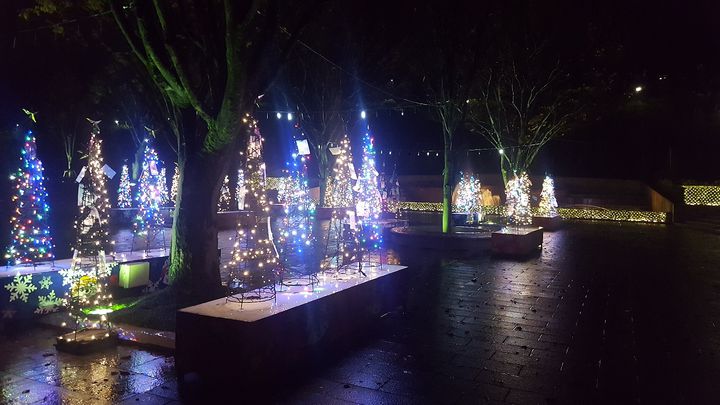 【終了】冬の七夕を味わおう！福井県の西山公園イルミネーション「光でつなぐ家族の絆」が開催