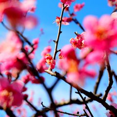 最新 茗荷谷駅周辺の人気観光スポットランキングtop24 Retrip リトリップ