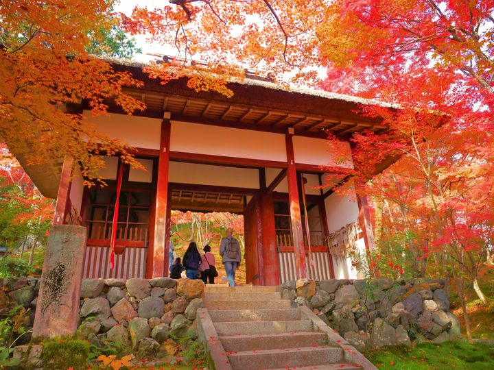 京都の秋はここで満喫！嵐山・嵯峨野を巡る秋のお出かけ一日プランはこれだ