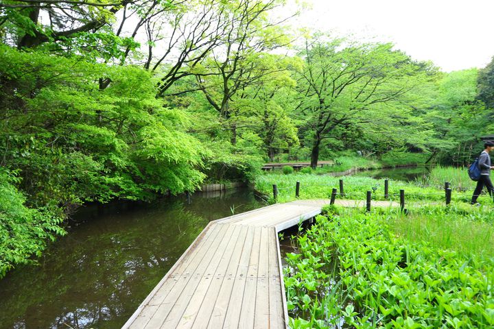 自然を楽しむ 東京近郊の森林浴スポット7選 Retrip リトリップ