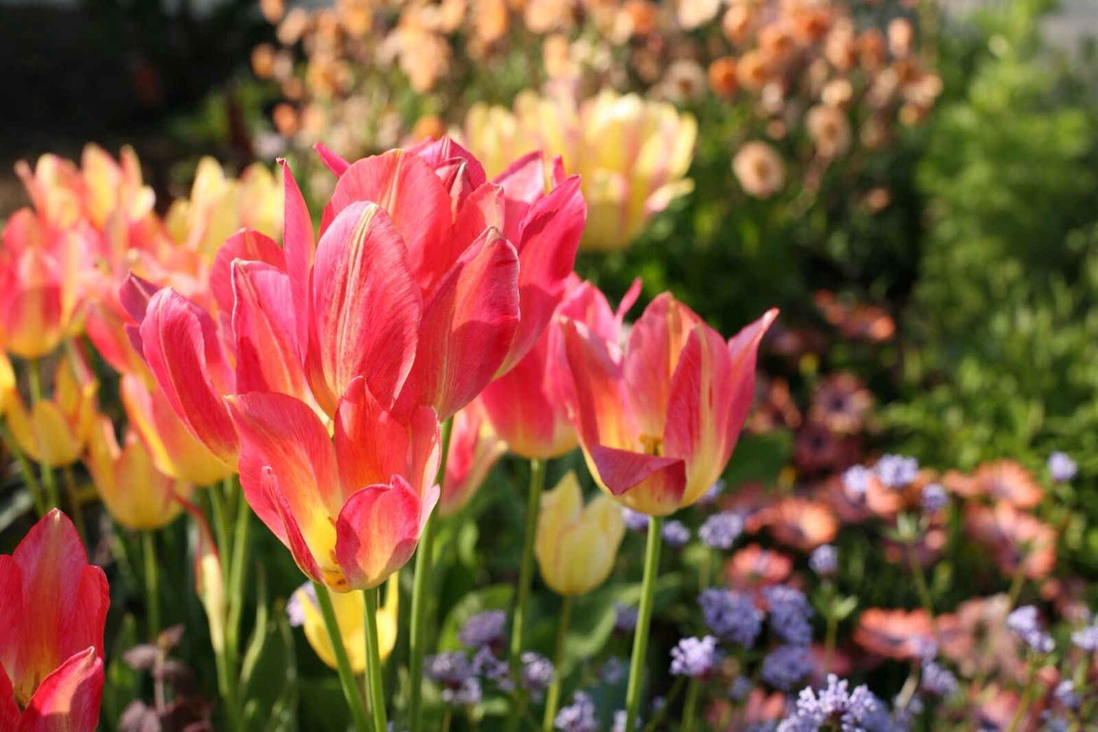 メイン画像 趣味はなんですか で困らない 好きなものに出会える趣味 おすすめスポット Retrip リトリップ