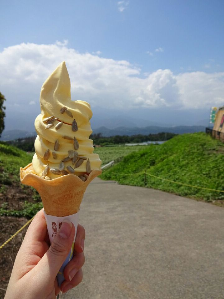 あの夏の風物詩がソフトクリームに この夏食べたい ひまわりソフト とは Retrip リトリップ