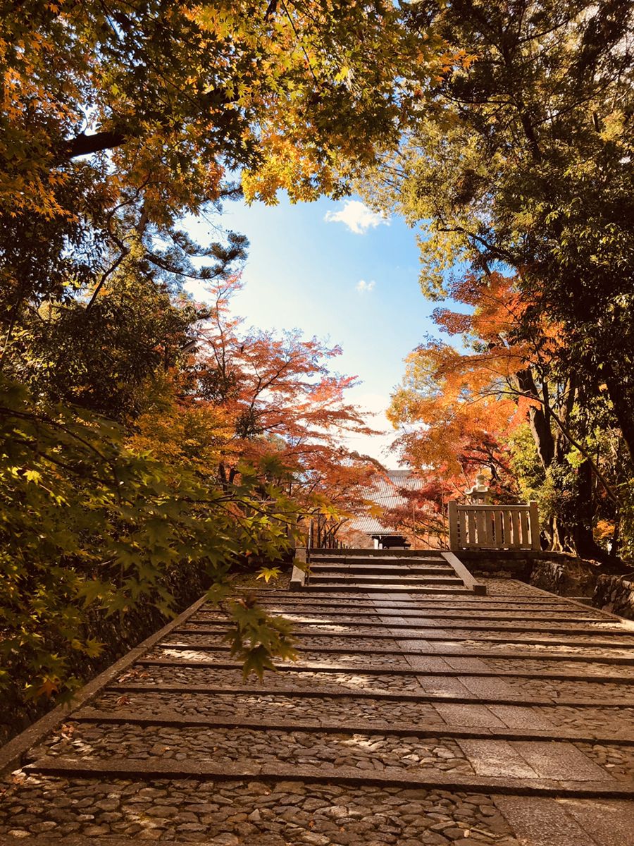 2枚目の画像 魅力しかない秋の京都へひとり旅 京都通かつ写真好きが教える2泊3日プラン Retrip リトリップ