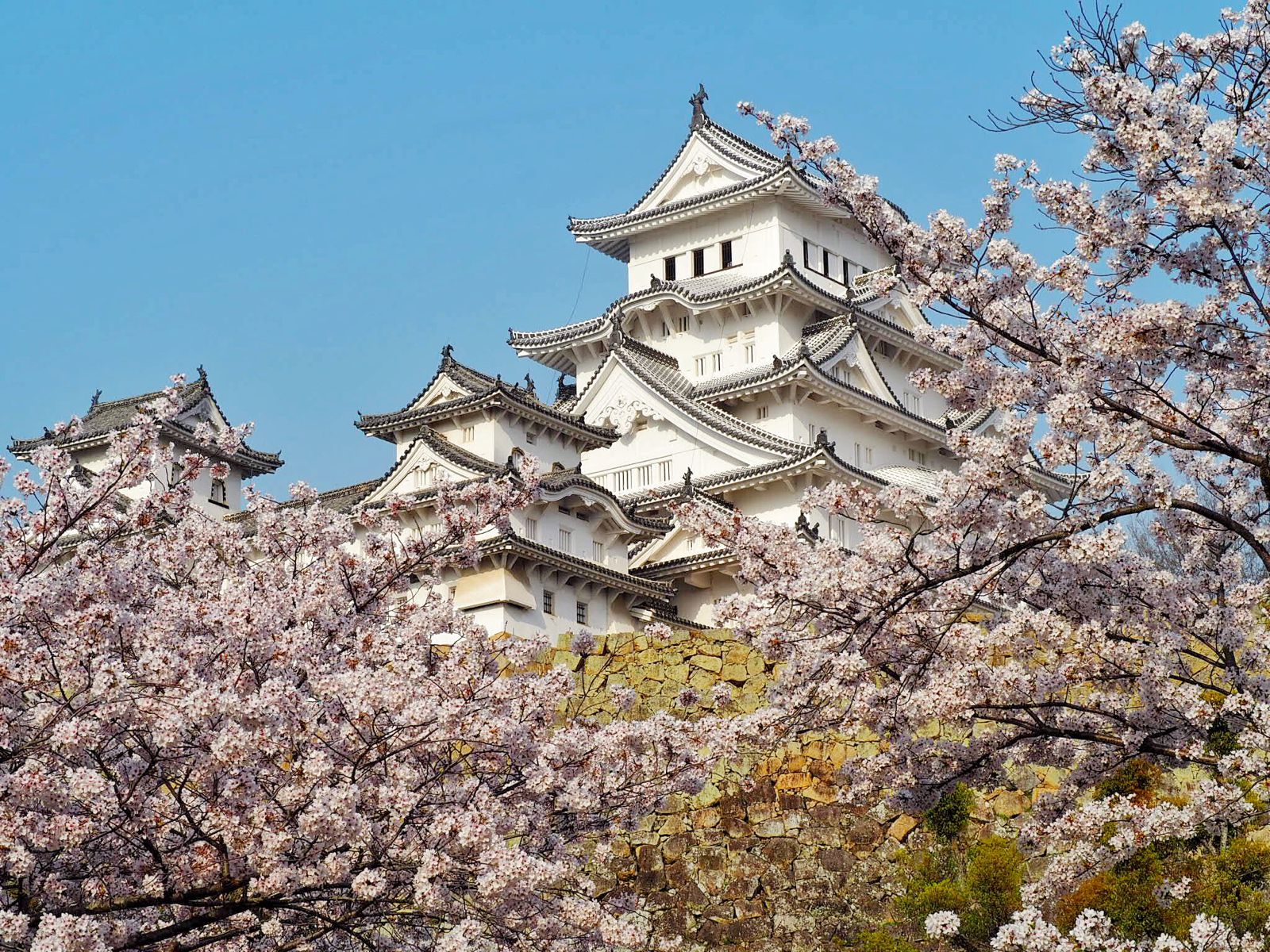 5年半の平成の大修理が終了！「姫路城」が満を持してグランドオープン