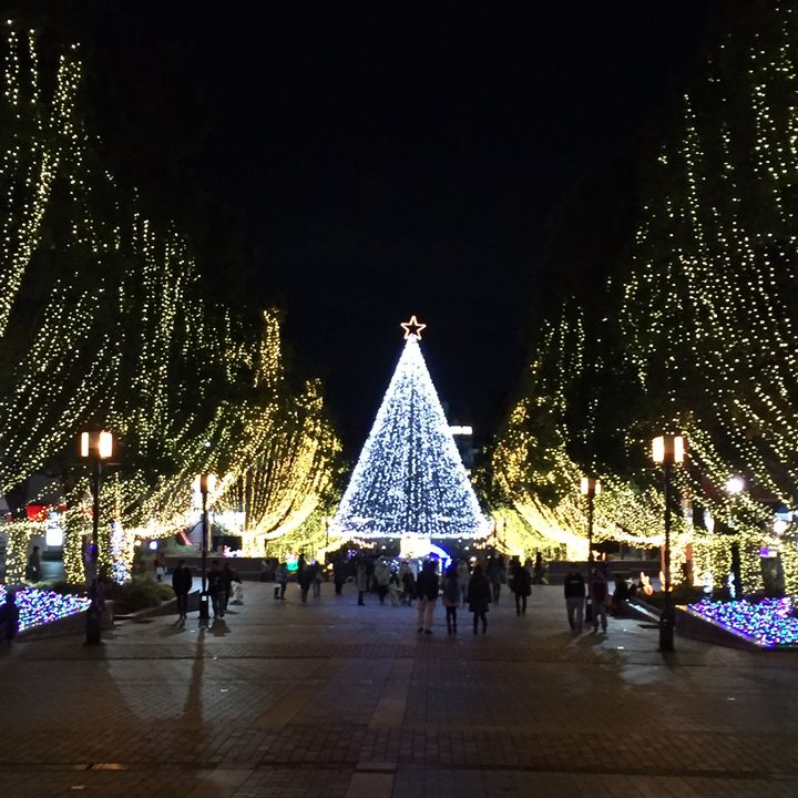 幅広い層のカップルが楽しめる多摩センターで人気のデートスポット5選 Retrip リトリップ