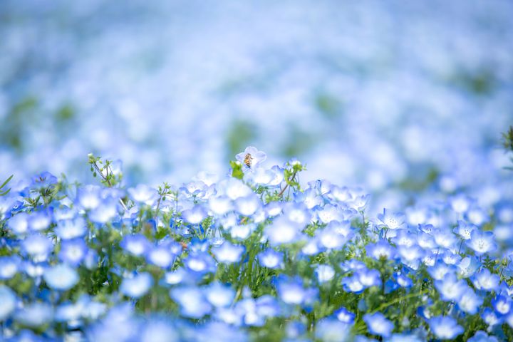 群馬県民が教える 群馬県の 春ドライブ におすすめなスポット12選 Retrip リトリップ 群馬県民が教える 群馬県の 春ドライブ におすすめなスポット12選 Retrip リトリップ