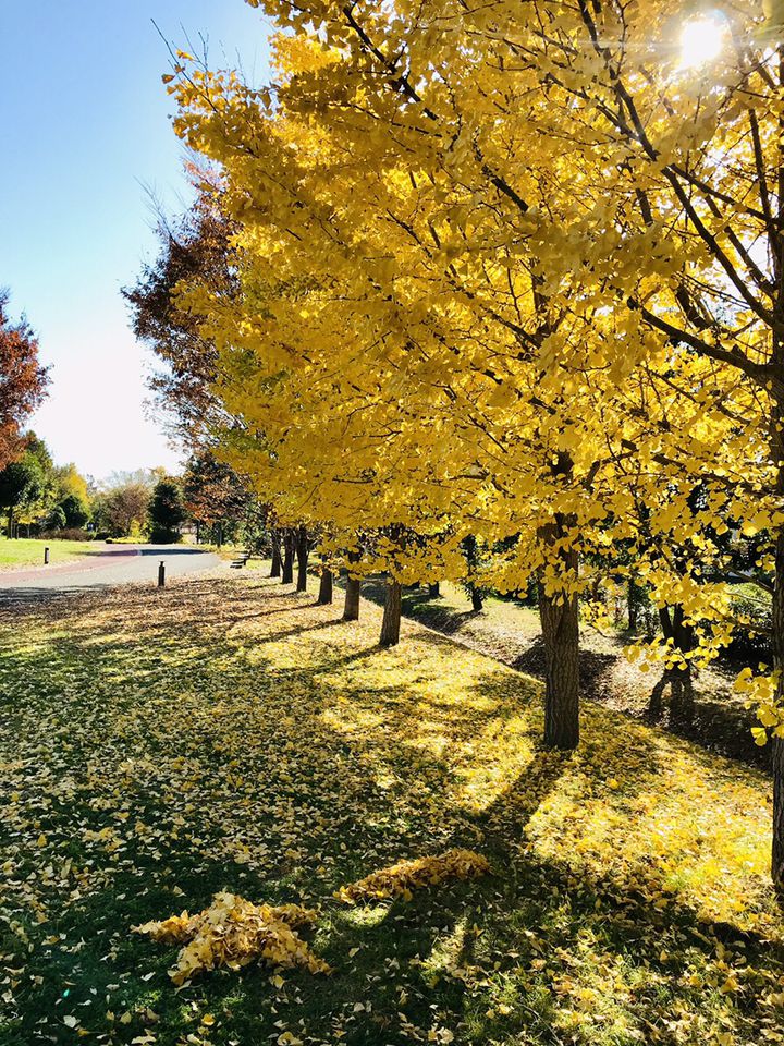 スポーツも紅葉も食も楽しめる 熊谷スポーツ文化公園 で秋を満喫しよう Retrip リトリップ