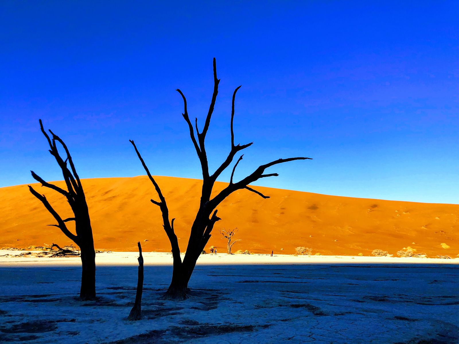 Deadvlei Retrip リトリップ