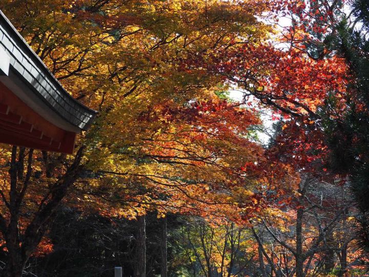 超厳選 目を疑うほどの絶景に出会う旅 関西の美しすぎる至極の紅葉名所9選 Retrip リトリップ