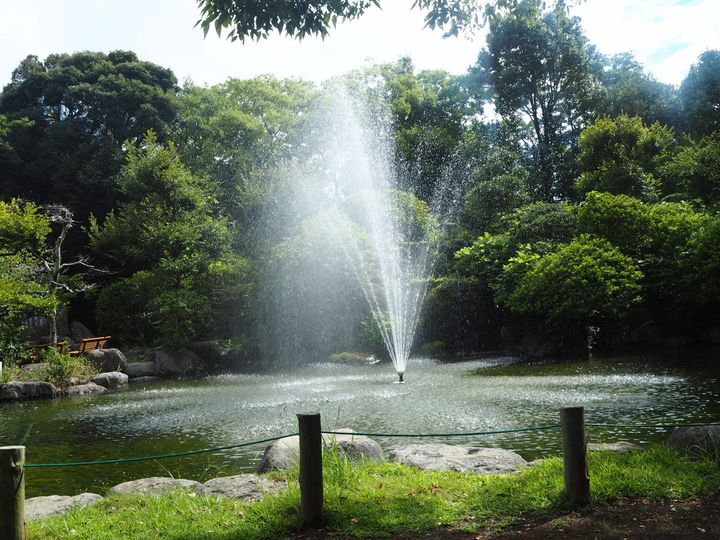 まるで陸のブルーホール 静岡に隠された美しき秘境 柿田川 が話題沸騰中 Retrip リトリップ