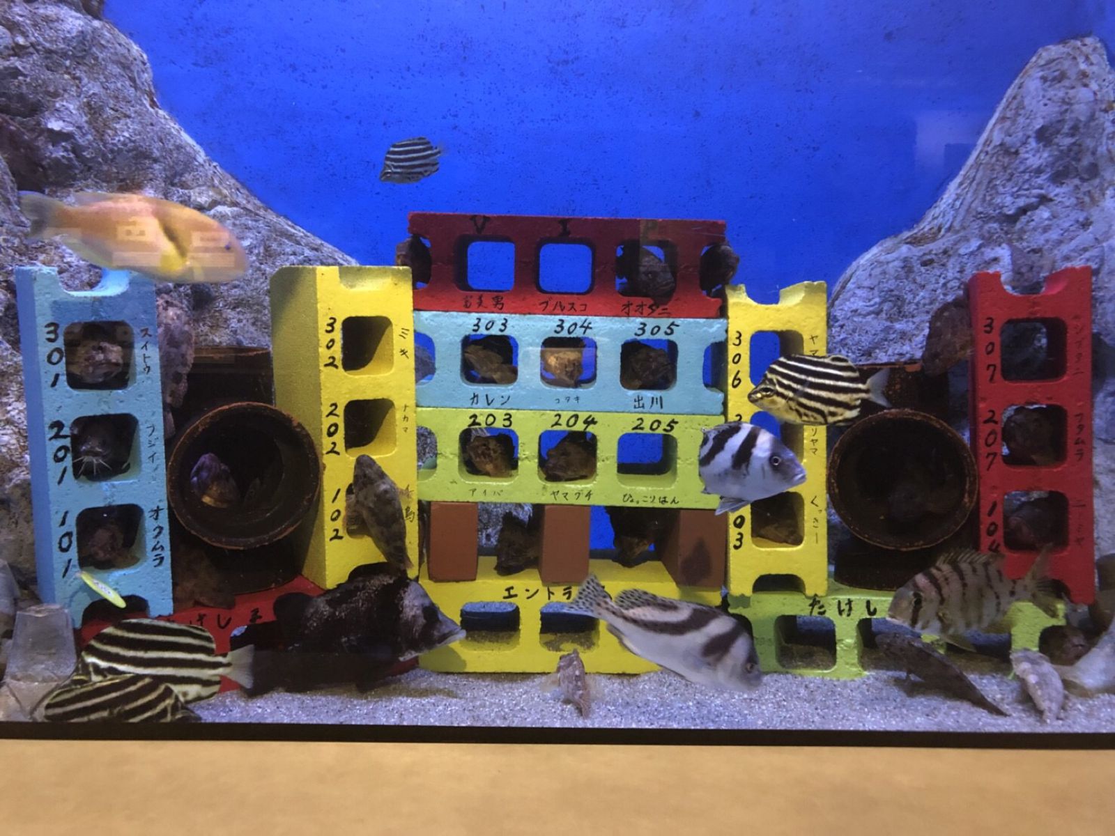 ぎょぎょ ぎょぎょウォッチ｜ウェアラブルタイプの魚群探知機が登場