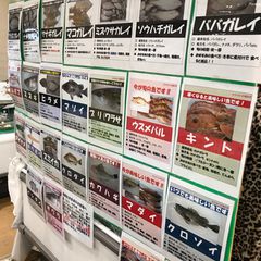 ご当地グルメ三昧 深浦で食べたいランチはココ おすすめランチ7選 Retrip リトリップ