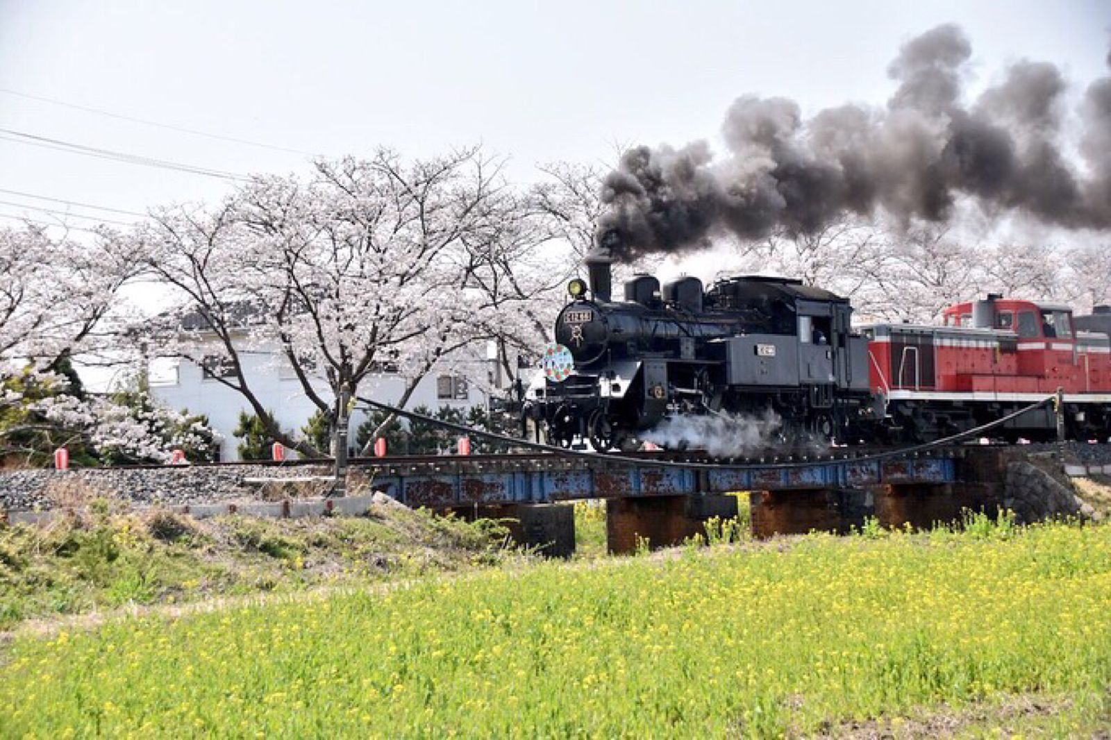 メイン画像 車窓からみる美しい春の絶景 日本全国の桜が見られる 花見列車 8選 Retrip リトリップ