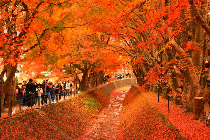 秋の女子旅おすすめ国内旅行先&スポット14選！日本の魅力を再発見。