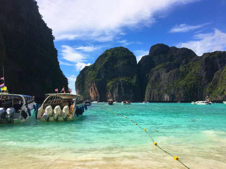 コレクション 海南 島 ベスト シーズン