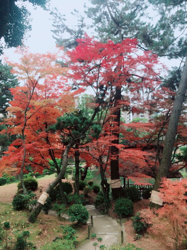 広島に行くなら知っておきたい！「縮景園」の本当の魅力とは RETRIP[リトリップ]