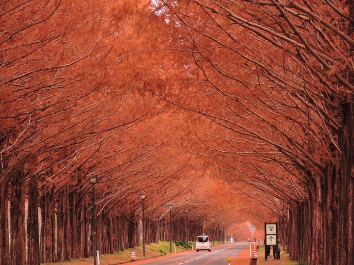 紅葉と食を満喫するドライブを 秋を味わえる滋賀の1泊2日旅行プラン Retrip リトリップ