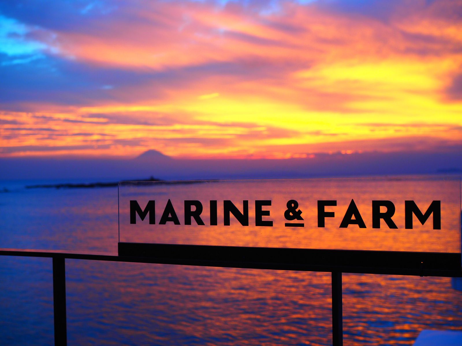 知る人ぞ知る絶景カフェ 海が一望できる Marine Farm を徹底解剖 Retrip リトリップ