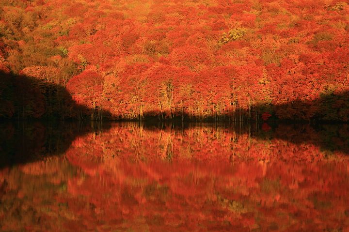 今週末はどこへ行く？日本全国の“10月に見ることができる絶景”10選