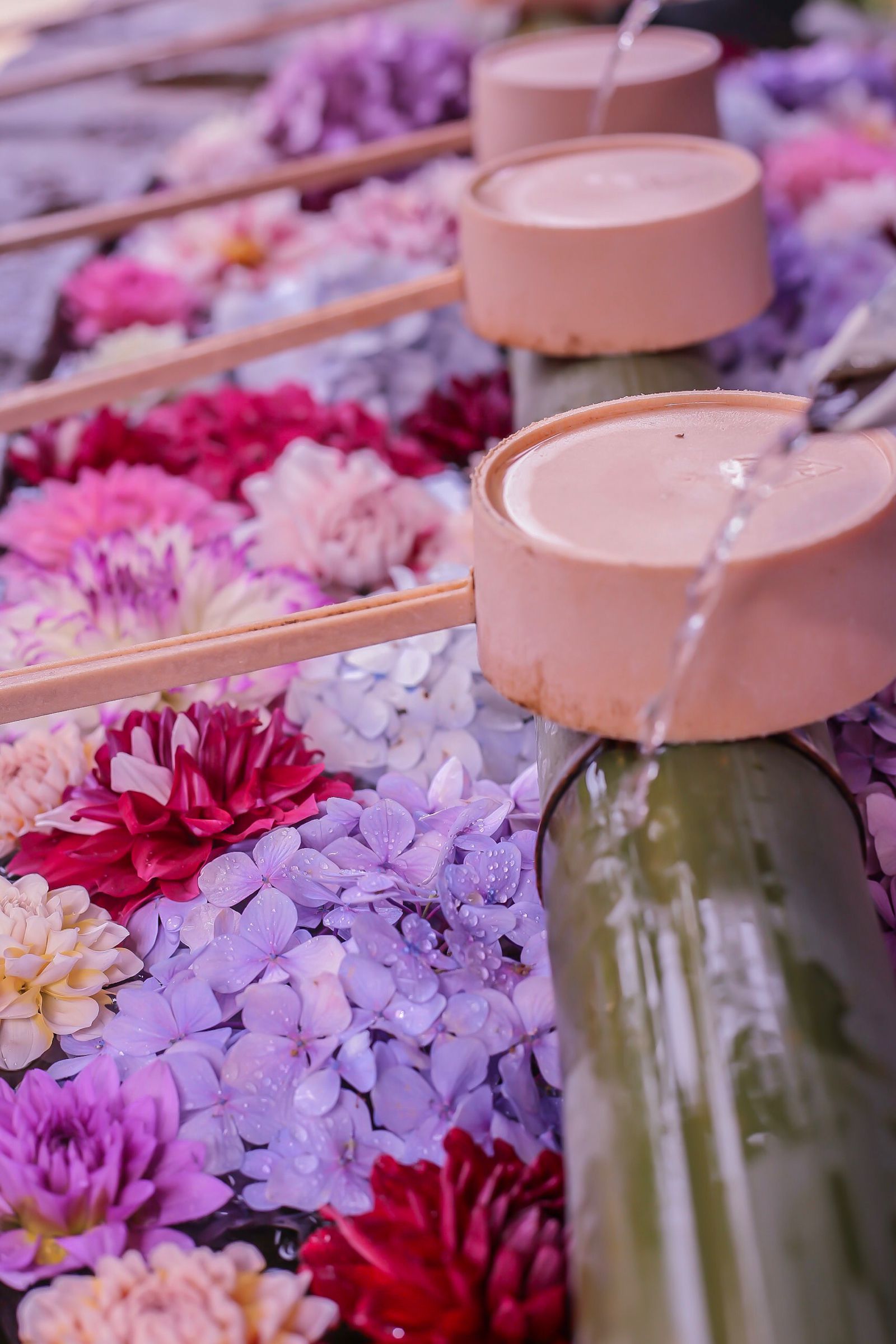 ジャンル豊富なインスタ映えの宝庫 奈良県のフォトジェスポット7選 Retrip リトリップ