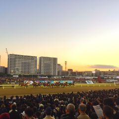 大人から子供まで皆で楽しめる 川崎競馬場 でしたい5つのこと Retrip リトリップ