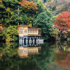 秋のドライブにぴったり 埼玉県 鎌北湖 でのんびり紅葉を楽しもう Retrip リトリップ