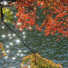 秋のドライブにぴったり 埼玉県 鎌北湖 でのんびり紅葉を楽しもう Retrip リトリップ