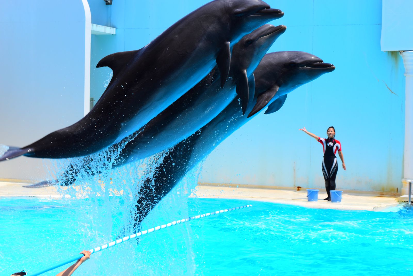 須磨海浜水族園 周辺のデートスポット7選 神戸で王道水族館デートを Retrip リトリップ