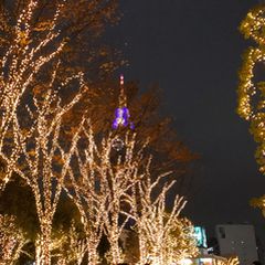 一年で一番濃厚な3日間に 新宿で過ごす6つのクリスマスデートプラン Retrip リトリップ