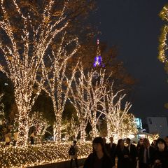 一年で一番濃厚な3日間に 新宿で過ごす6つのクリスマスデートプラン Retrip リトリップ