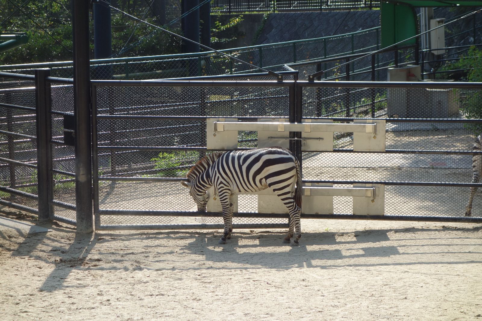 福岡市動物園 Retrip リトリップ