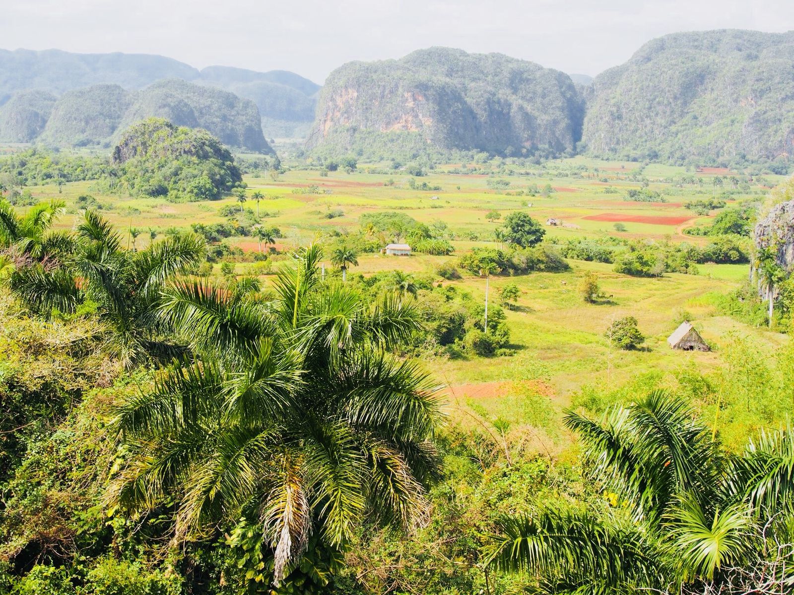 Valle De Vinales ビニャーレス渓谷 Retrip リトリップ