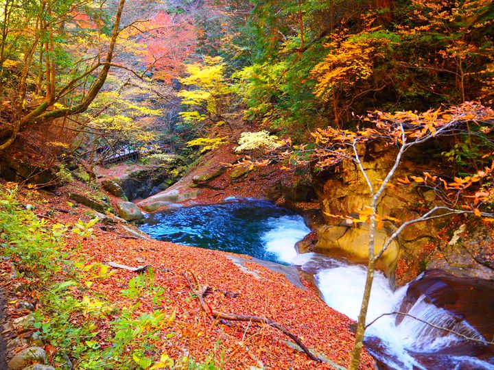 自然が織りなす絶景を。関東近郊の「紅葉を満喫できる渓谷」7選