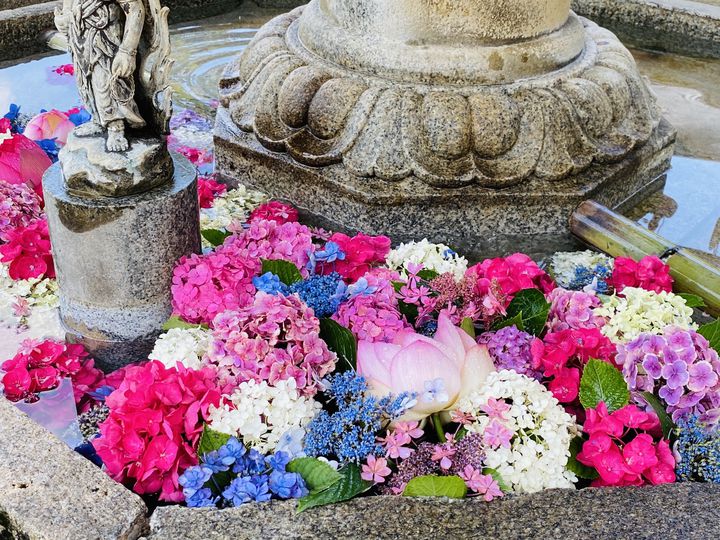 雨だからこそ美しい紫陽花を見てほしい 関西でオススメのスポット7選 Retrip リトリップ 雨だからこそ美しい紫陽花を見てほしい 関西でオススメのスポット7選 Retrip リトリップ