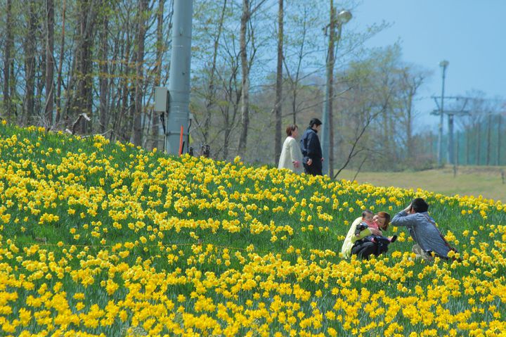 東北の春はこれから 東北地方の旅したくなる 春のお花畑スポット 10選 Retrip リトリップ