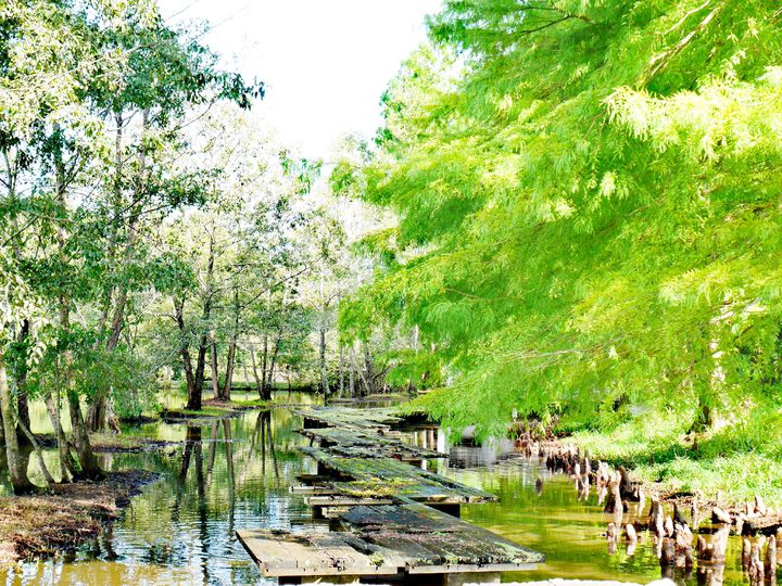 M. Marten, Lights in the Pond 公園 風景画 【公式通販】