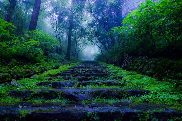 やっと土曜日だ！日頃の自分をリセットする癒し旅に出かけよう。