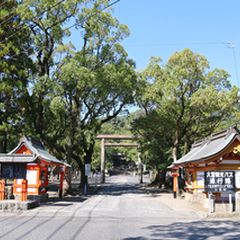 初詣どこへいく 鹿児島のおすすめ寺社5選 Retrip リトリップ