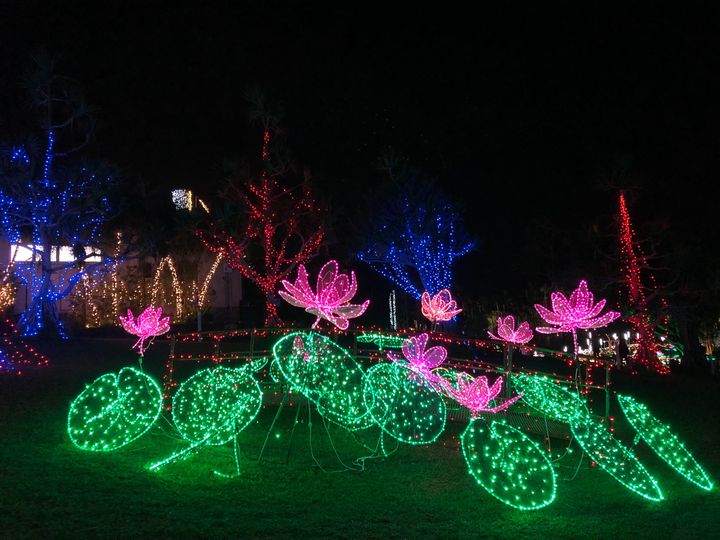 開催中 沖縄最大級のイルミ ひかりの散歩道 沖縄 東南植物楽園にて開催 Retrip リトリップ